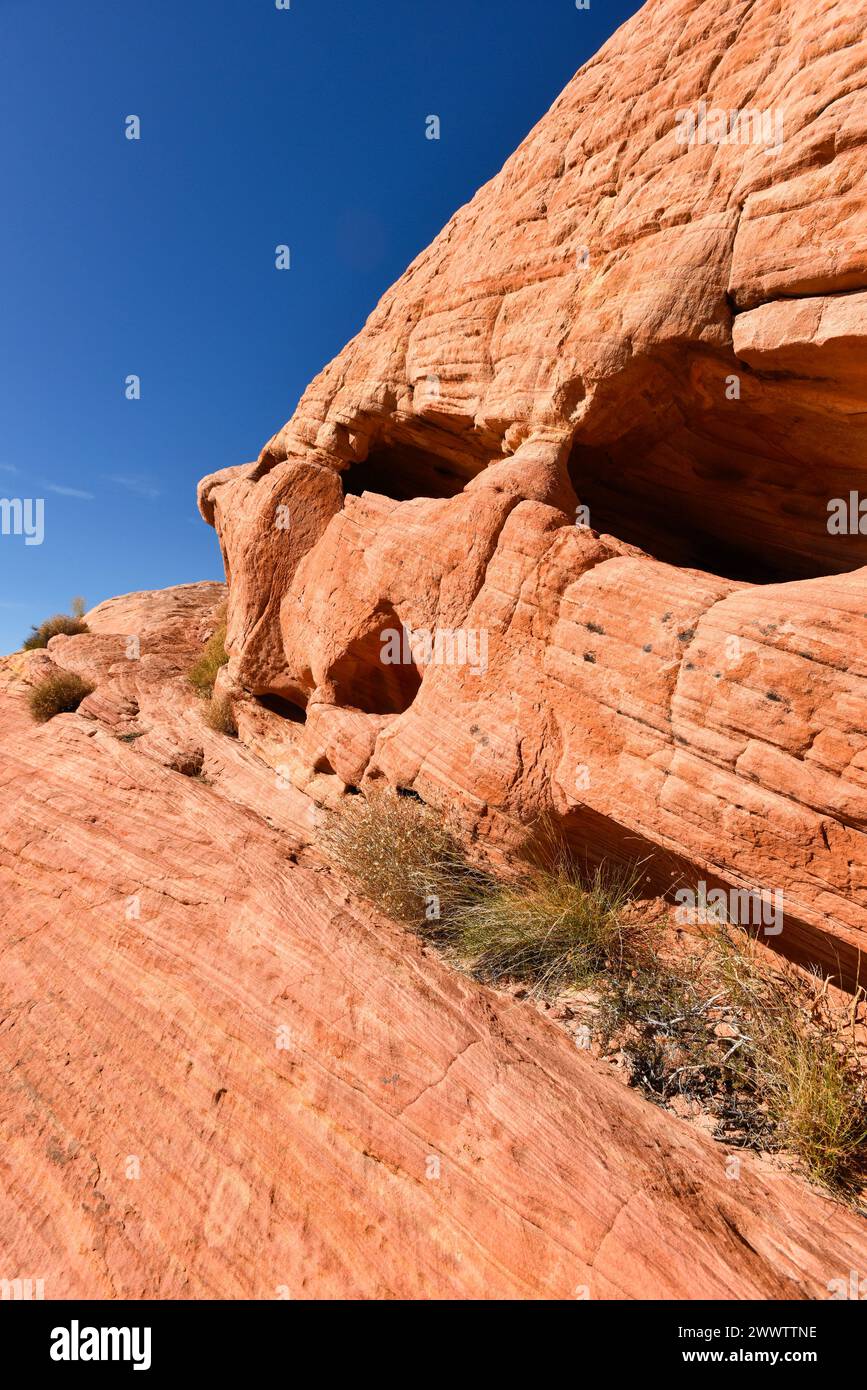 Valley of Fire Nevada State Park paysage dans le comté de Clark, Nevada Banque D'Images