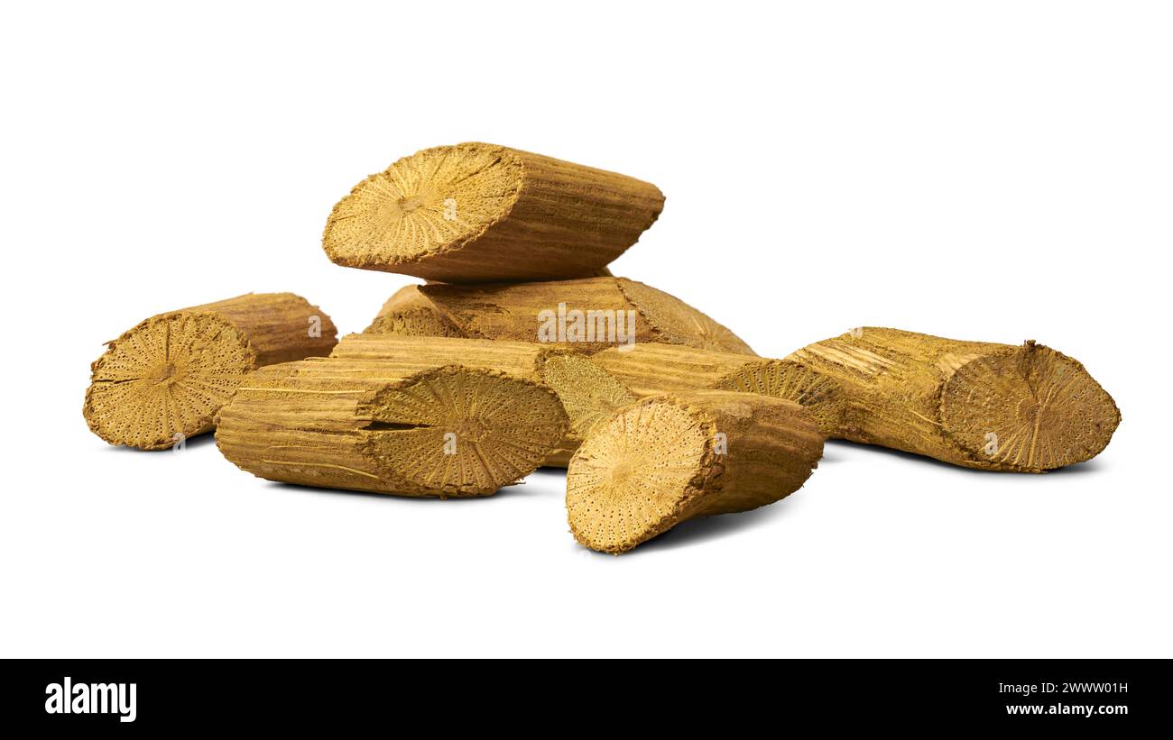 pile de curcuma d'arbre, berberis aristata, aka venivel, venivelgeta ou bois de calumba, vigne jaune ou daruharidra, épine indienne, ayurvédique traditionnel Banque D'Images