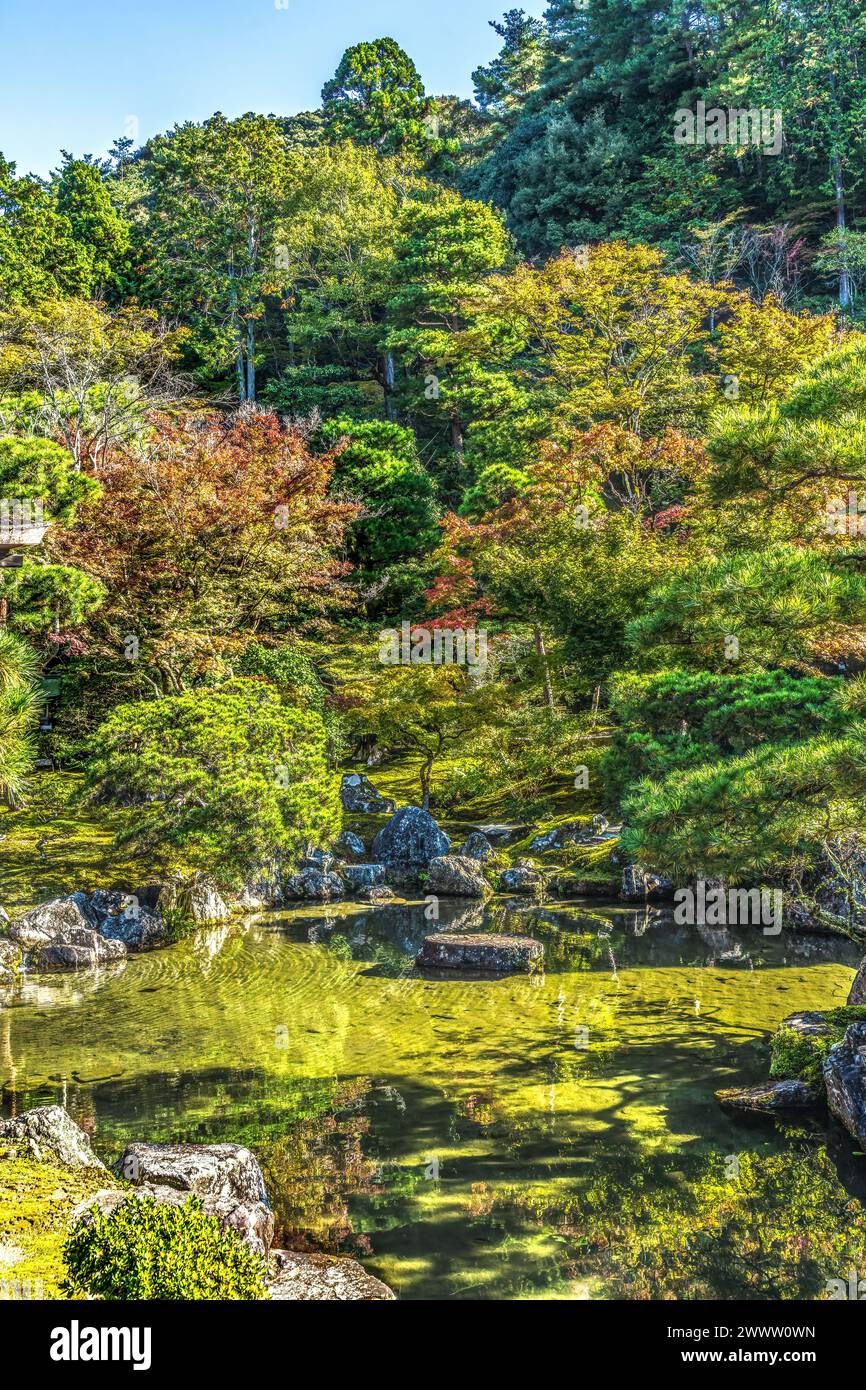 Feuilles d'automne colorées Garden Reflection Ginkakuji Silver Pavilion Zen Buddhist Temple Park Kyoto Japon. Également connu sous le nom de Temple Jishoji de la miséricorde brillante. Banque D'Images