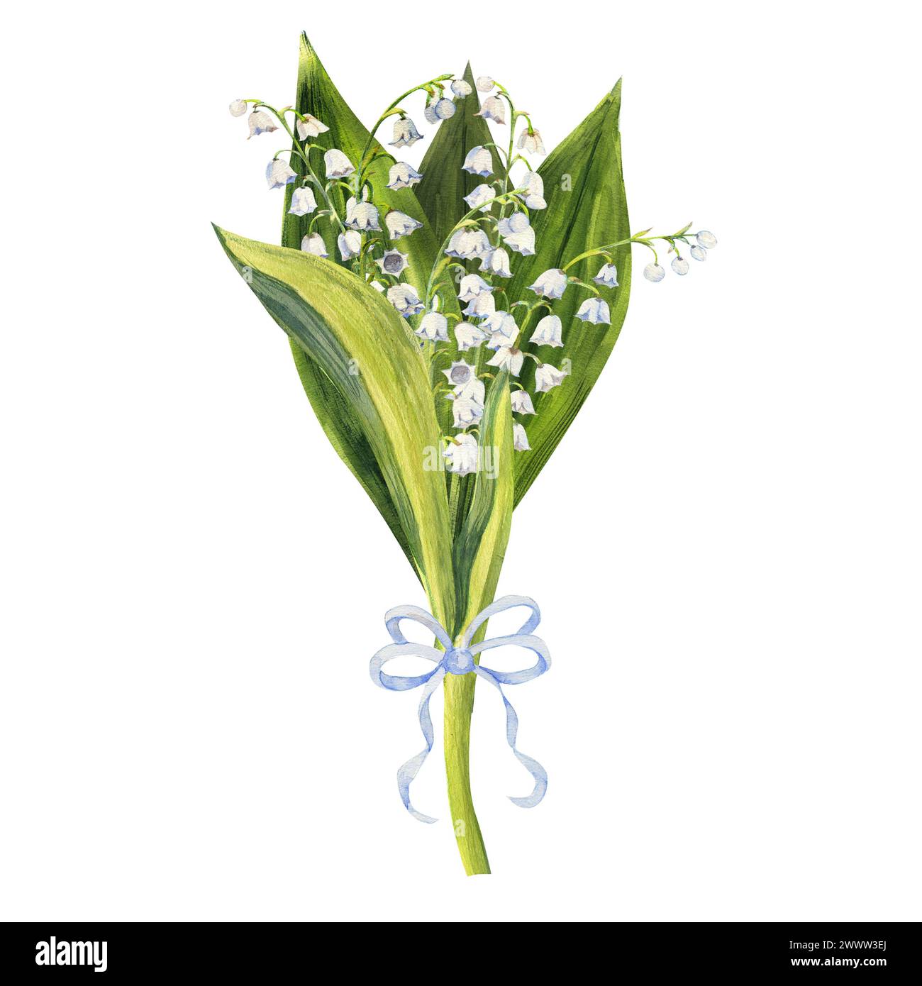 Bouquet de fleurs de lis de la vallée, dessiné à la main. Illustration aquarelle de fleurs de printemps. Banque D'Images