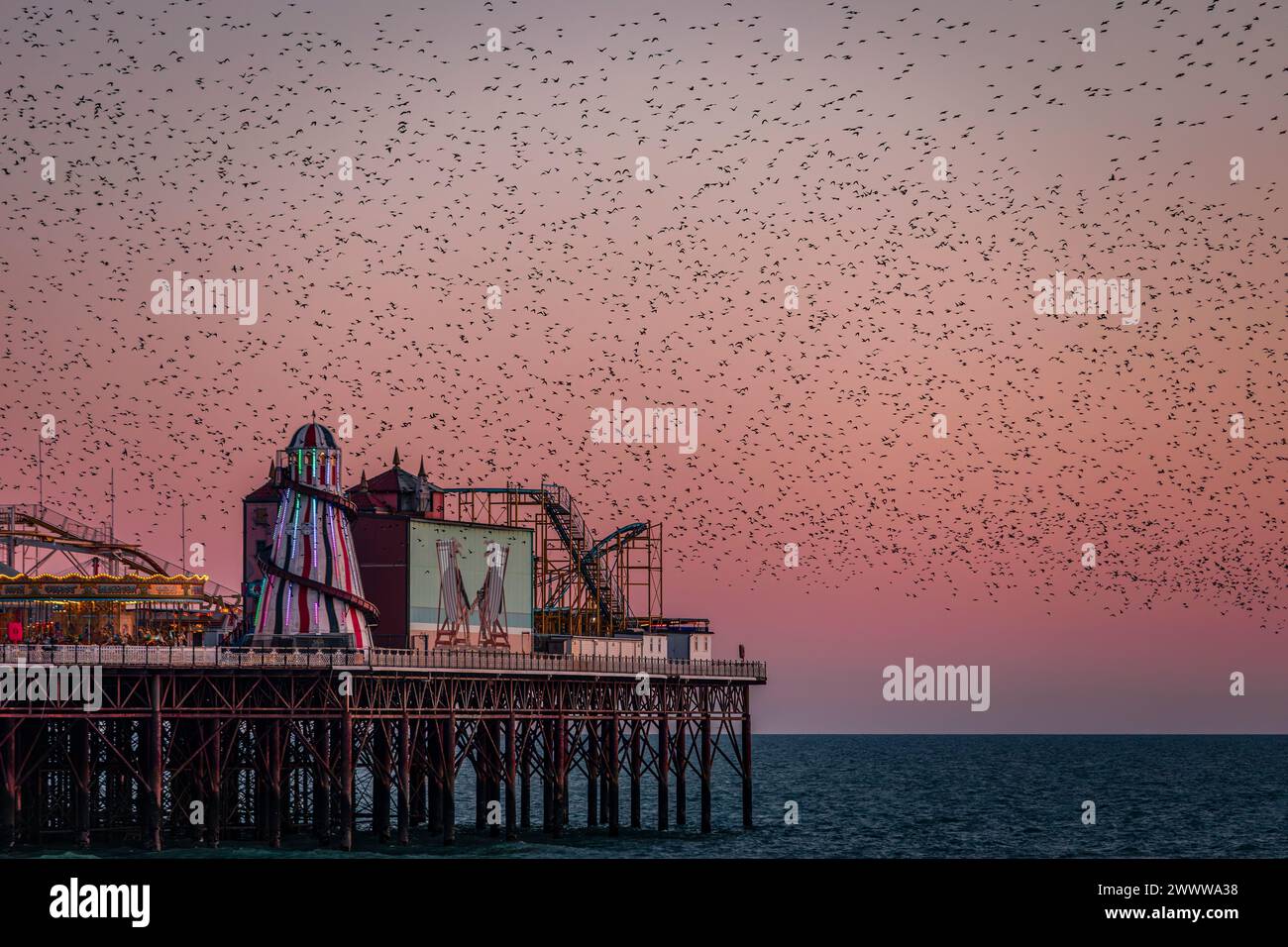 Murmure de Starling au coucher du soleil sur Palace Pier sur le front de mer de Brighton est Sussex sud-est de l'Angleterre Royaume-Uni Banque D'Images