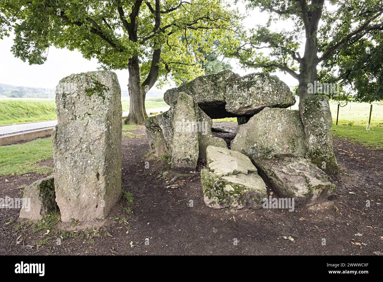 Mégalithe, le dolmen du nord, Weris, Belgique Banque D'Images