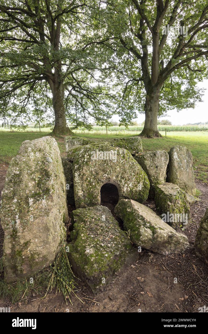 Mégalithes, dolmen d'Oppagne ou Dolmen du Sud, Dolmen du Sud Oppagne, Weris, Belgique Banque D'Images