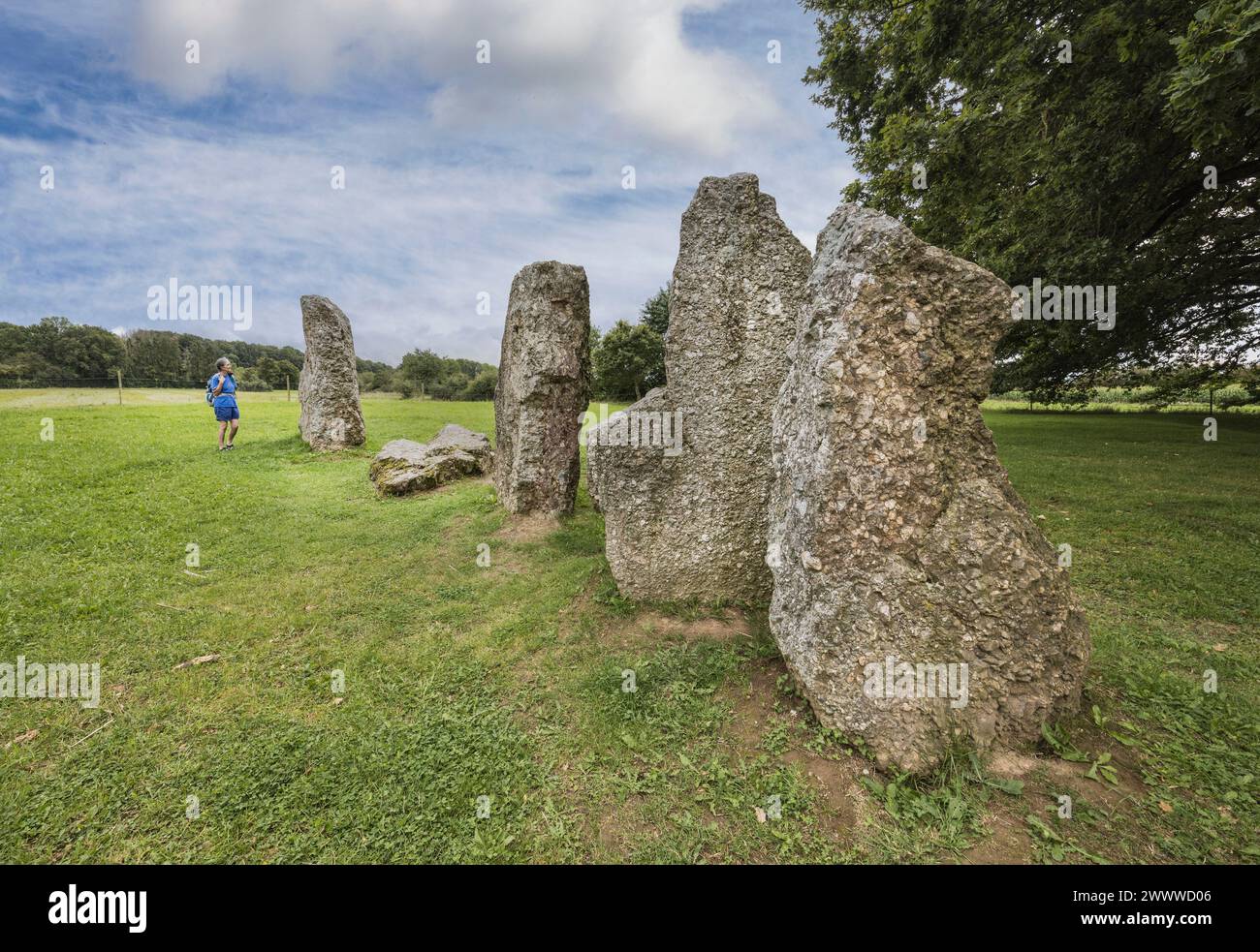 Mégalithes, dolmen d'Oppagne ou Dolmen du Sud, Dolmen du Sud Oppagne, Weris, Belgique Banque D'Images