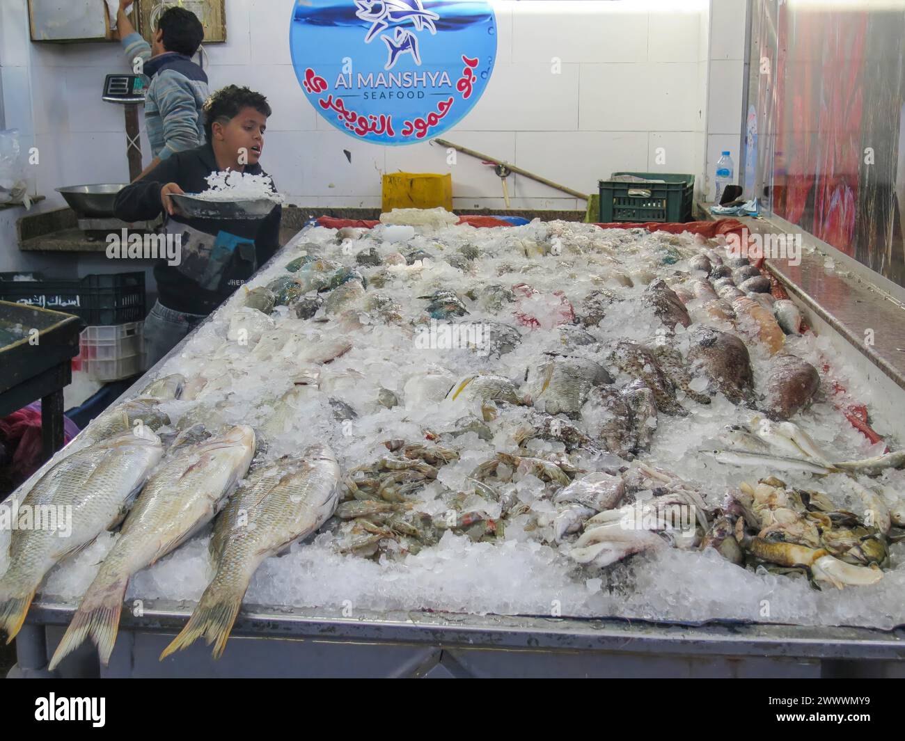 Fische im Fischmarkt von Hurghada, Ägypten Banque D'Images