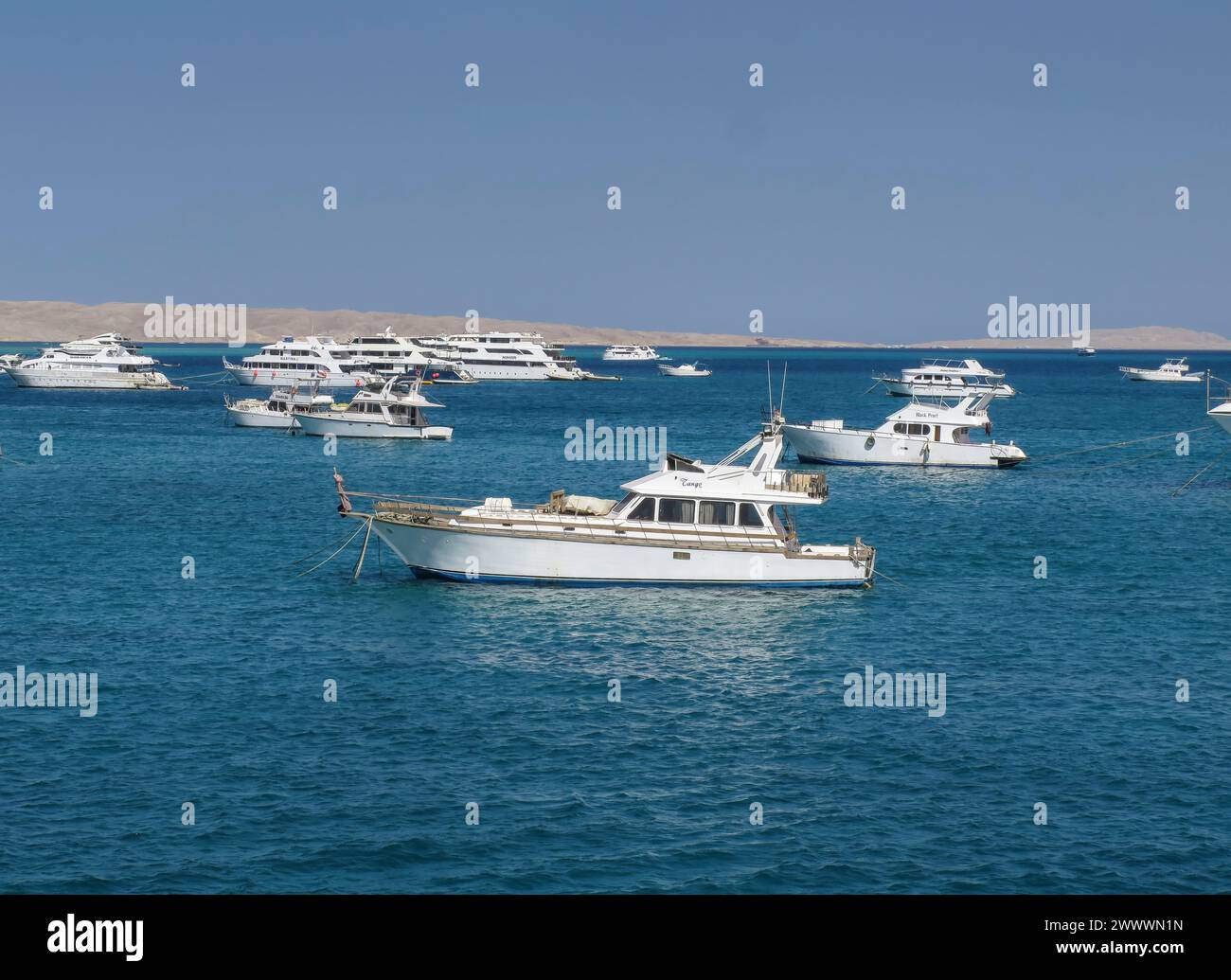 Yachten, Ausflugsschiffe vor Hurghada, Ägypten Banque D'Images