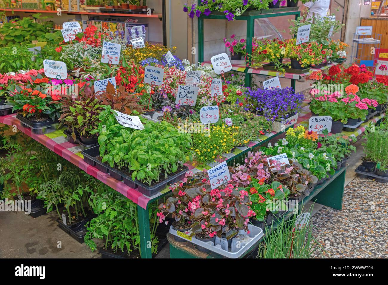 Côme, Italie - 15 juin 2019 : fleurs fraîches herbes et plantes à l'étal Indoor Farmers Market. Banque D'Images