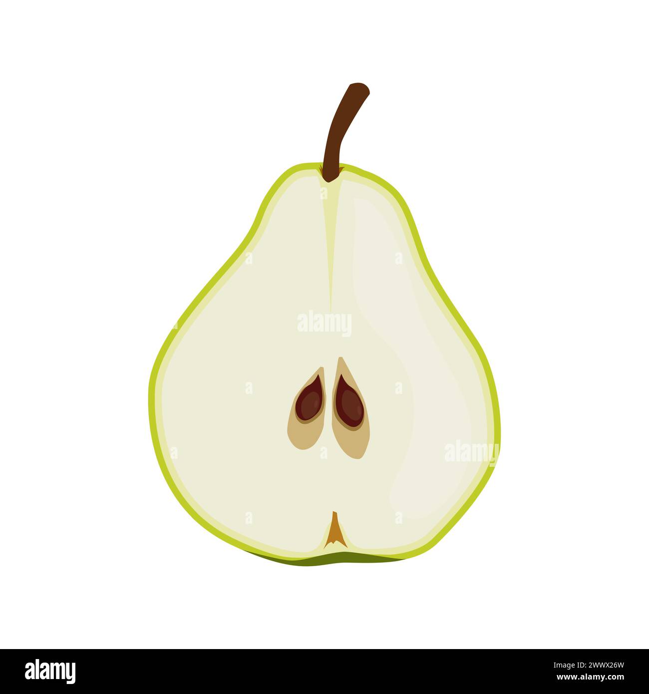 Tranche mince juteuse et saine de poire verte isolée sur fond blanc. Illustration vectorielle de fruits tranchés dans un style plat. Clipart d'été pour la conception de Illustration de Vecteur