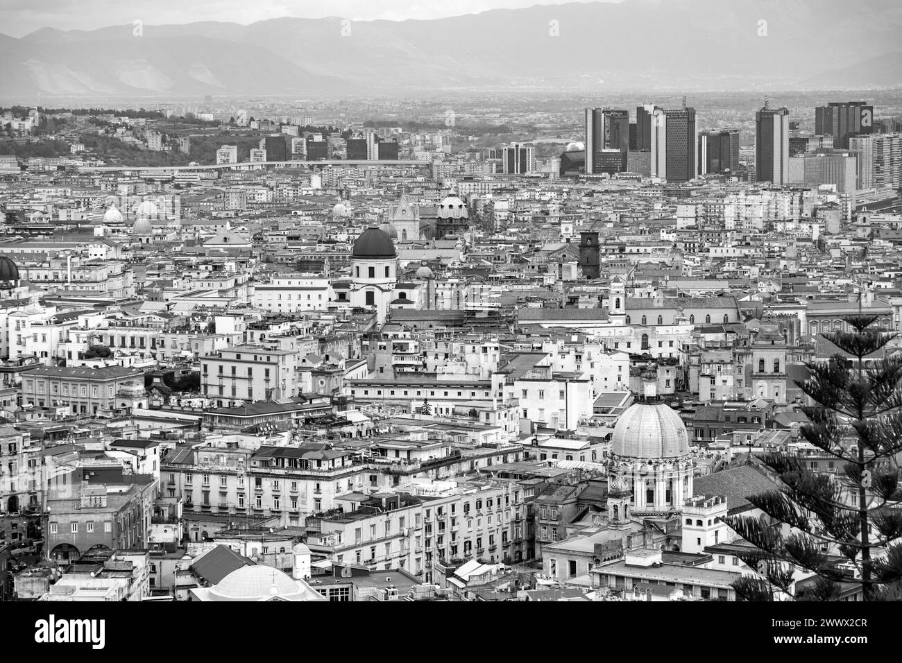 Vue aérienne de la ville de Naples, depuis castel Sant'Elmo, Campanie, Italie. Banque D'Images