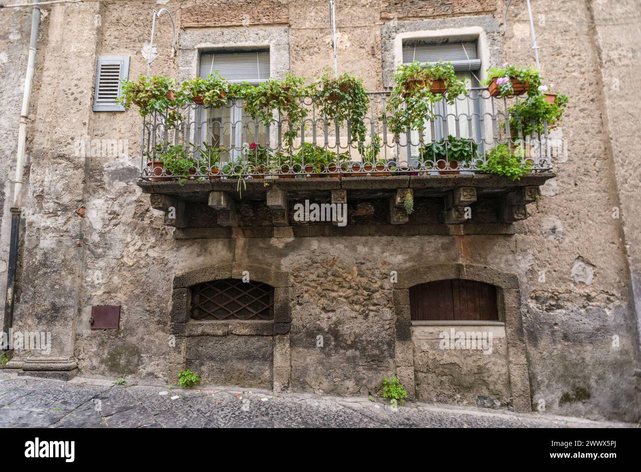Ein mit Pflanzen bewachsener Balkon an einem alten Haus in Bronte, Sizilien, Italien. In der Pistazienstadt Bronte am Fusse des Ätna *** Un balcon envahi de plantes sur une vieille maison à Bronte, Sicile, Italie dans la ville de pistaches de Bronte au pied de l'Etna Banque D'Images