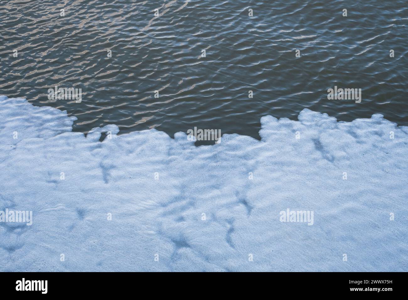 La mousse blanche à la surface de l'eau Banque D'Images