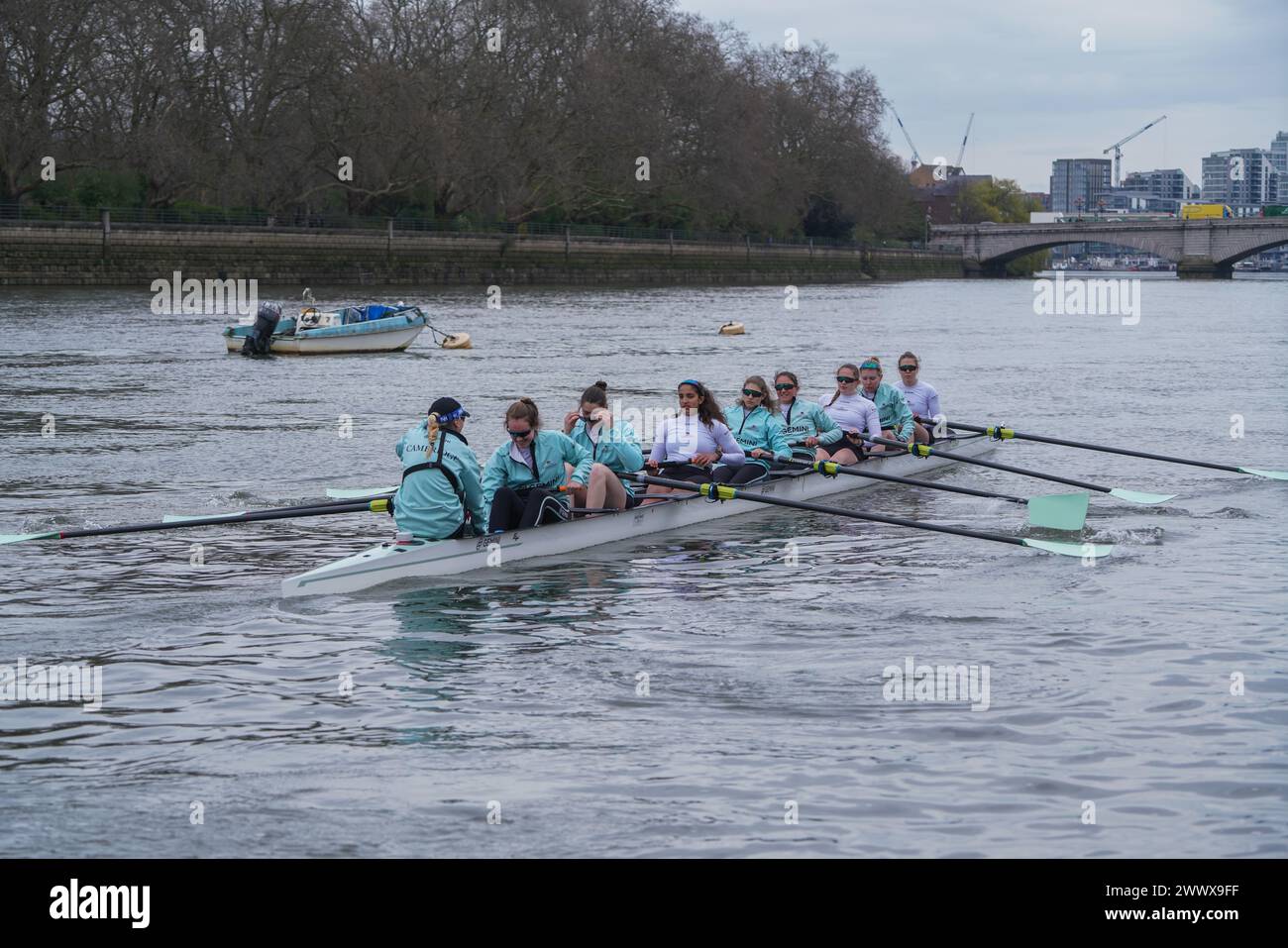 Londres, Royaume-Uni 26 mars 2024 L'équipage féminin de l'Université de Cambridge lors d'une session d'entraînement sur la Tamise à Putney avant la course annuelle de bateaux de l'Université le samedi 30 mars . Credit : amer Ghazzal/Alamy Live News Banque D'Images