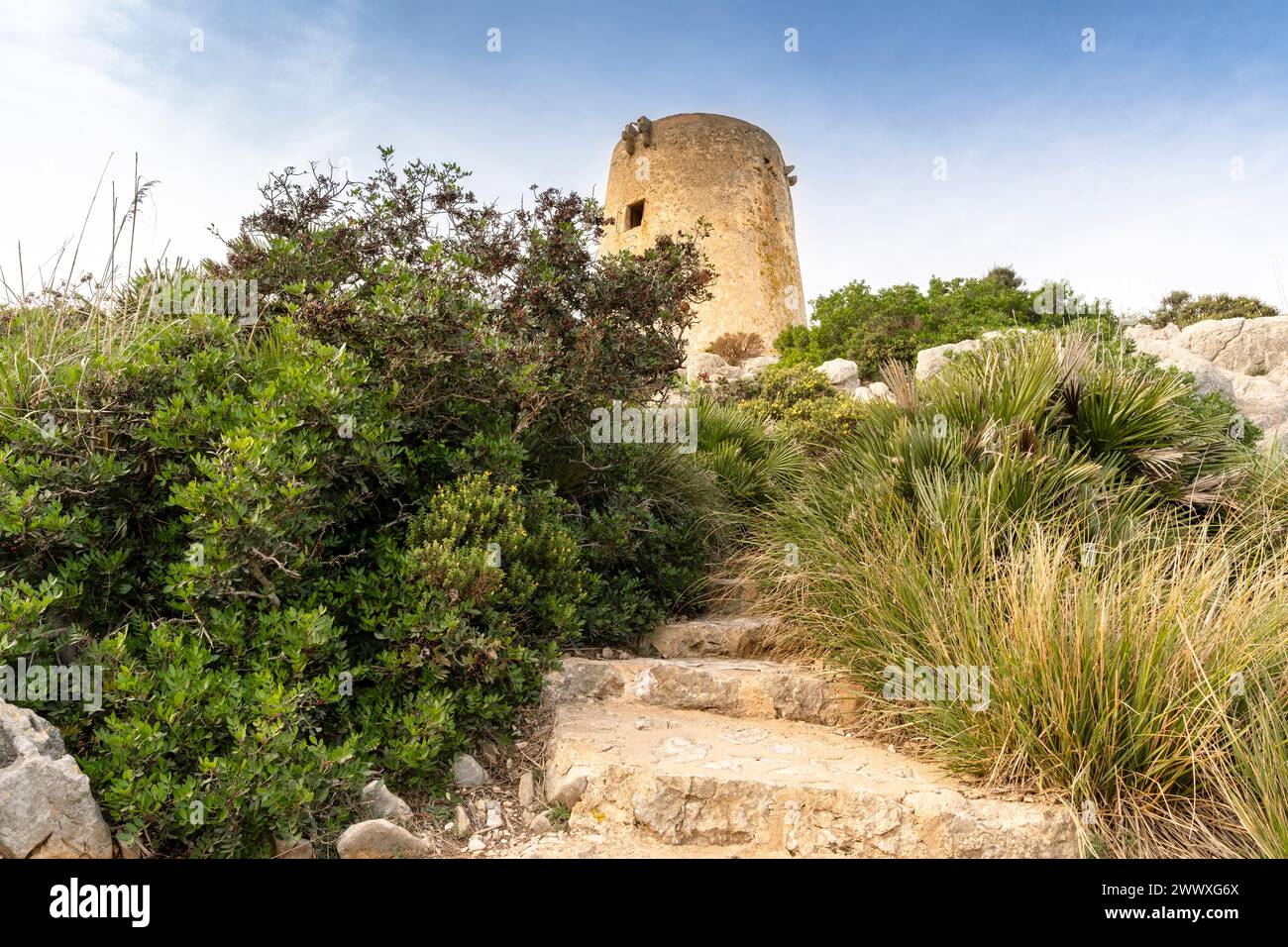 Belle photo de Formentor à Majorque, Espagne, Europe Banque D'Images