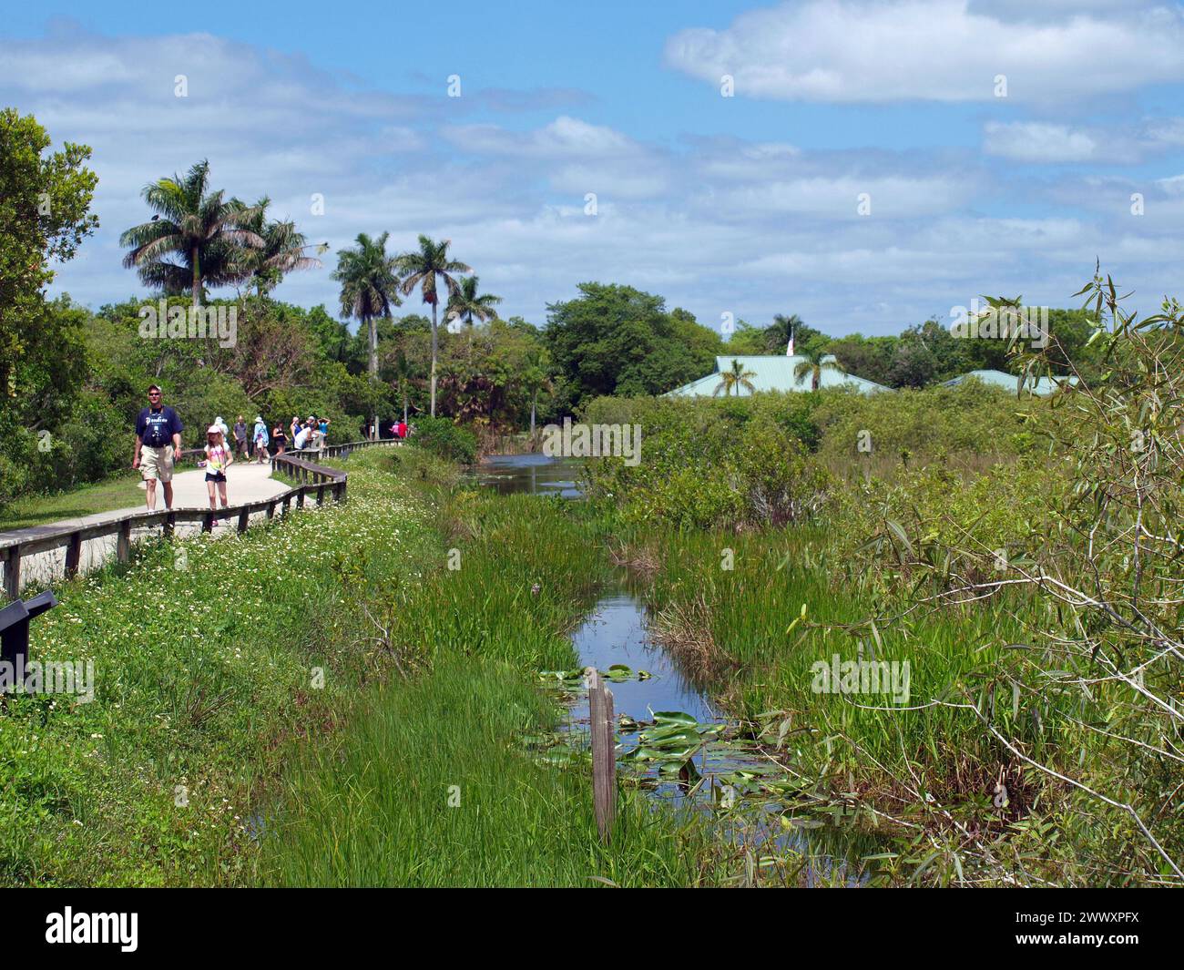 Everglades National Park, Floride, États-Unis - 4 mai 2013 : visiteurs sur le sentier Anhinga dans le Royal Palm Visitor Center. Banque D'Images