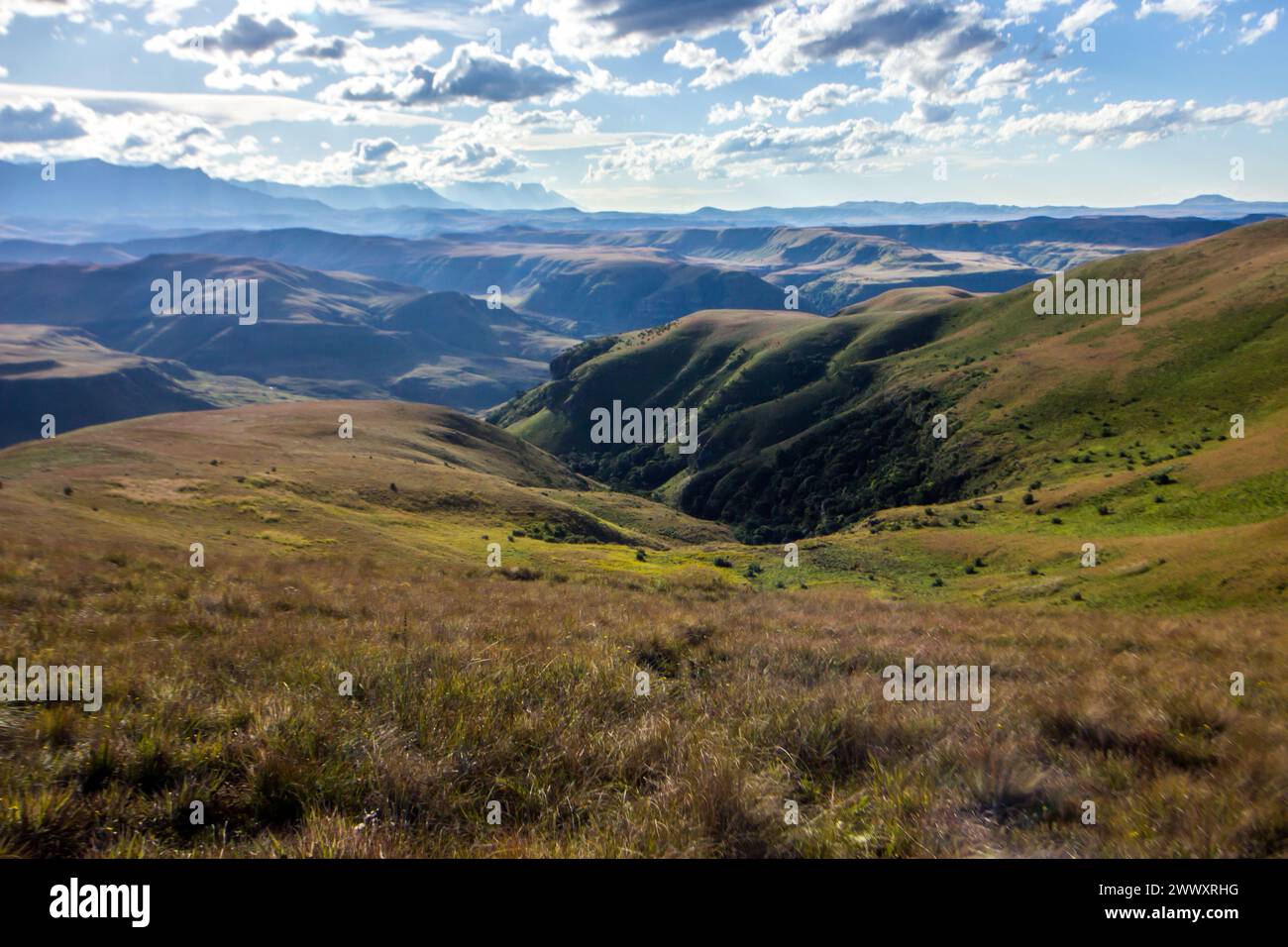 Vallées escarpées et crêtes des montagnes Drakensberg en Afrique du Sud, avec les hauts sommets bleus dans le fond lointain Banque D'Images