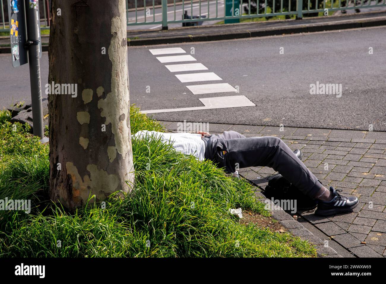 Un homme est allongé sur une bande de verdure dans la rue Turiner, Cologne, Allemagne. ein Mann liegt auf einem Gruenstreifen an der Turiner Strasse, Koeln, Deutschla Banque D'Images