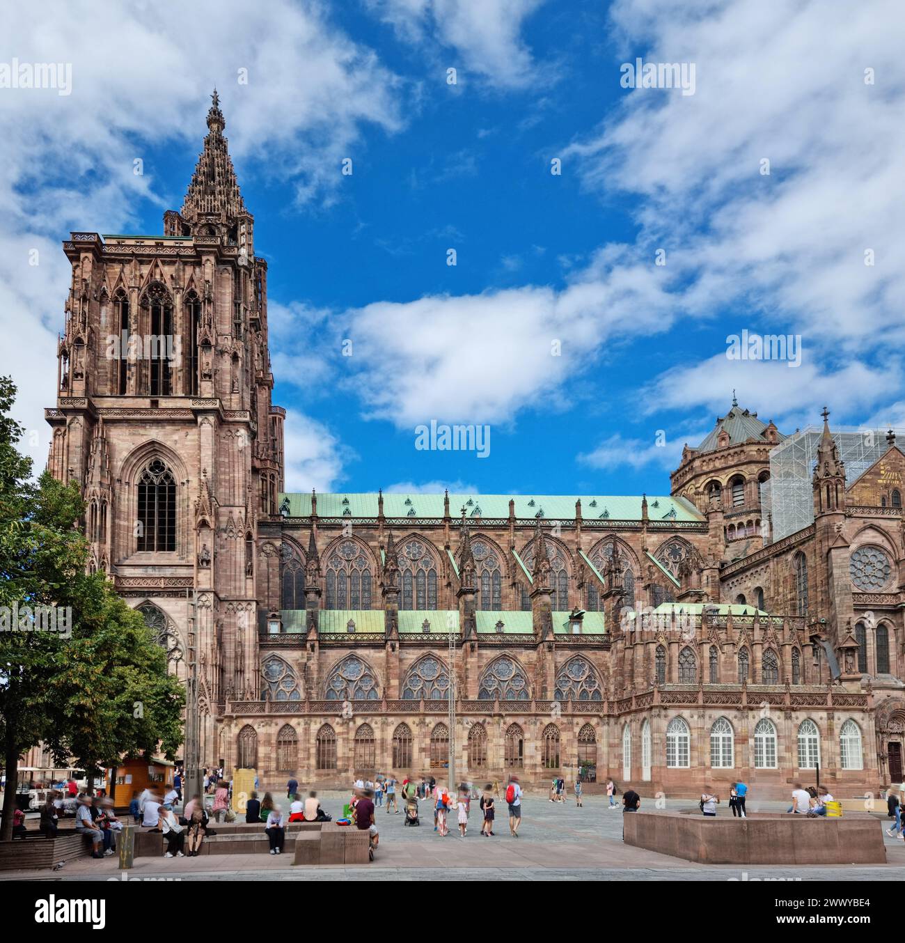 Cathédrale de Strasbourg ou Cathédrale notre-Dame de Strasbourg. France. Banque D'Images