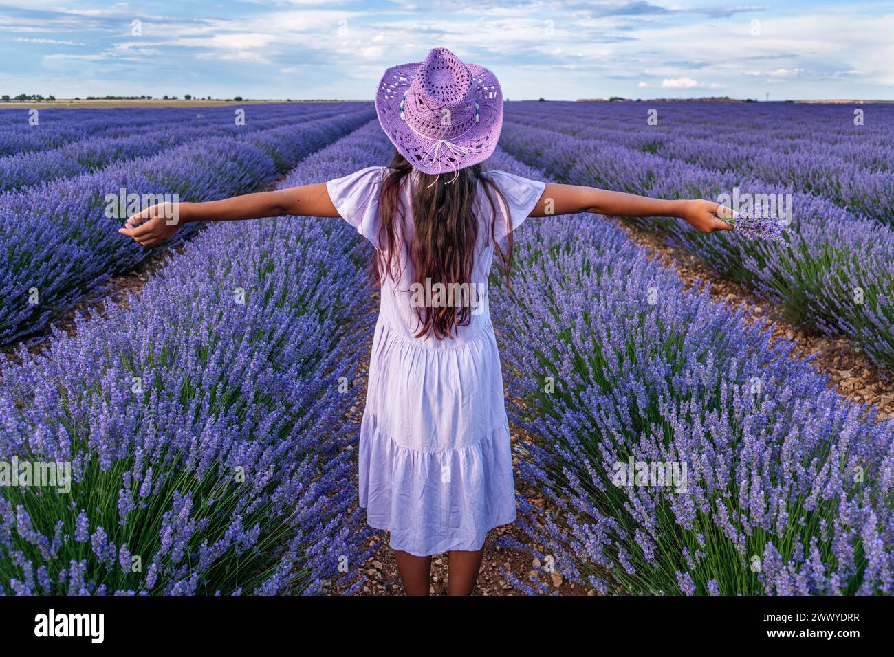 Jeune fille dans le champ de lavande et ciel nuageux à l'arrière-plan. Brihuega, Espagne. Banque D'Images
