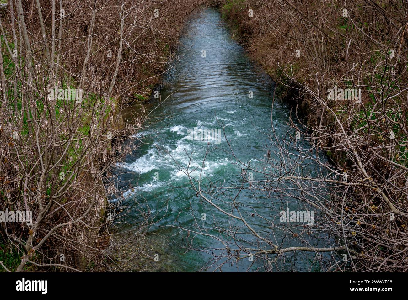 Canal d'eau avec courant d'eau entre les arbres et les buissons avec des branches sans feuilles en hiver Banque D'Images