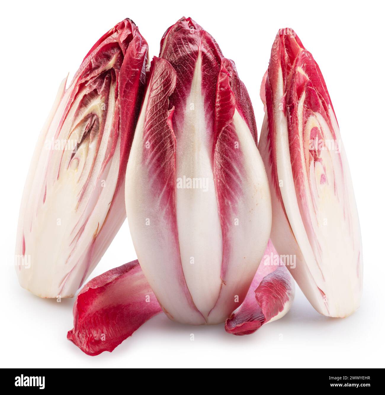 Endives rouges et coupe transversale d'endives sur fond blanc. Le fichier contient un chemin de détourage. Banque D'Images