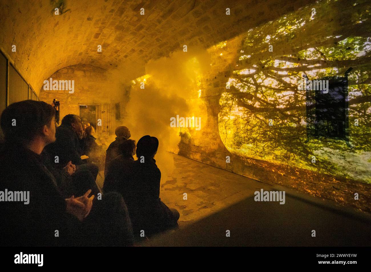 Festung Königstein Neue Erlebnisse auf der Festung Königstein : mit immersiven Inszenierungen erzählt die Museumsanlage auf dem Tafelberg in der Sächsischen Schweiz jetzt weitere Kapitel ihrer Geschichte und beschreitet damit neue Wege in der Museumsarbeit. Der Kurzfilm einer kleinen Zeitreise mit Episoden aus der Festungsgeschichte von Regisseur David Campesino, läuft auf einer Projektionsfläche von fast 13 Metern Länge. Die neue Zeitreise Pulvermagazin ist ganztags während der Öffnungszeiten der Festung Königstein zu erleben und im Festungseintritt inklusive. Königstein Sachsen Deutschland ** Banque D'Images