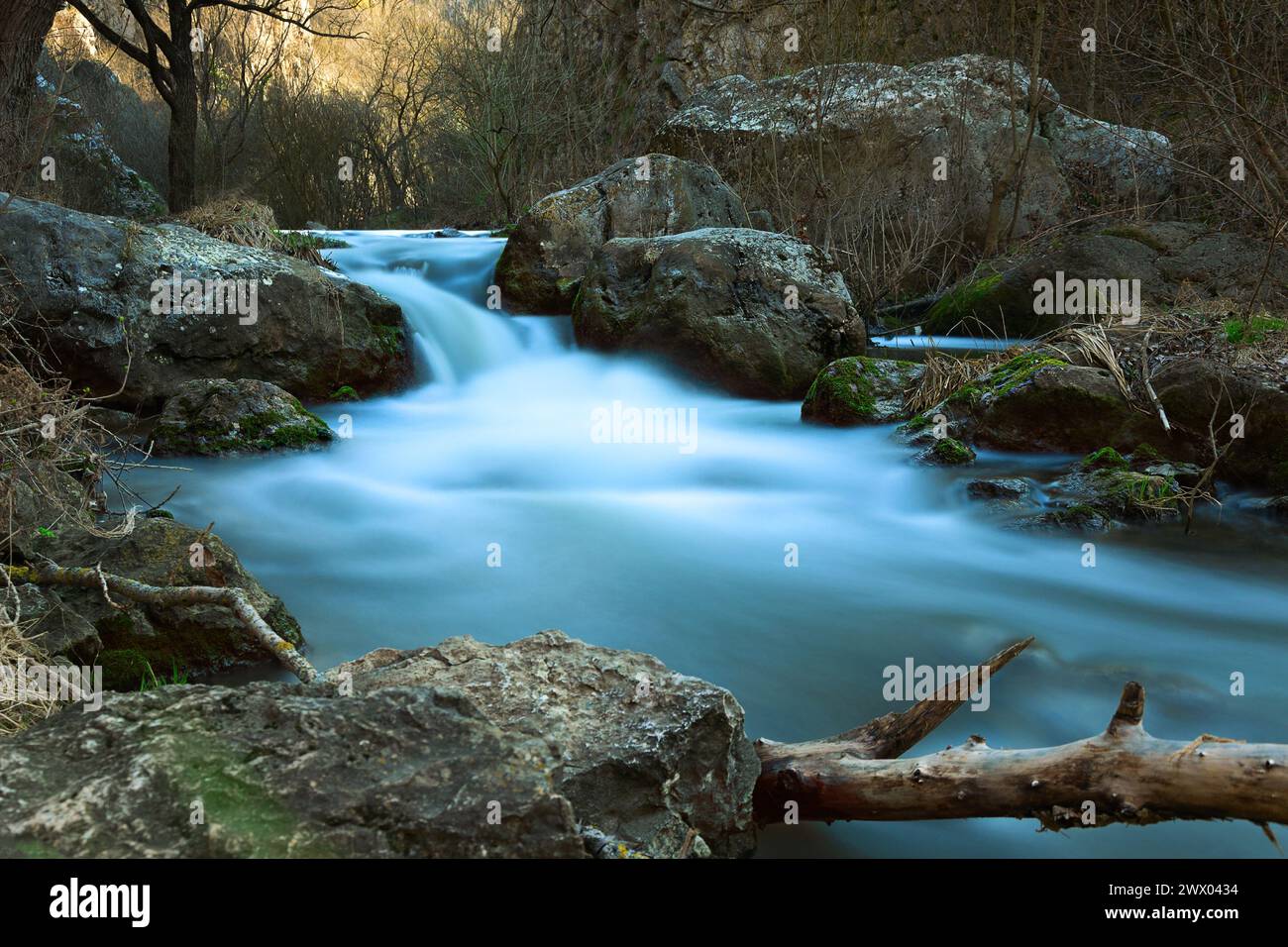 Ruisseau de montagne bleu dans les gorges de Tureni, Apuseni, Roumanie Banque D'Images