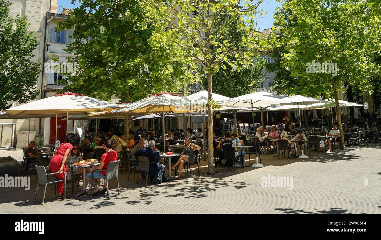 Avignon, Provence, France - juin 26 2021 : jardin de bière sous les platanes de platanus dans le centre-ville historique, destination touristique populaire Banque D'Images