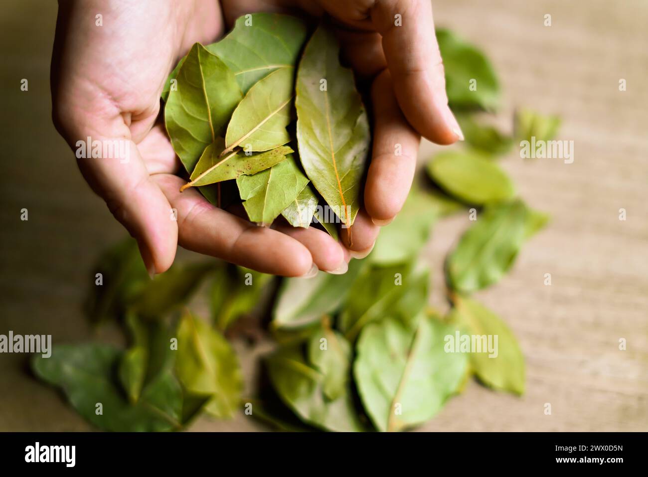 Feuilles de baie verte sur la planche de bois. Banque D'Images