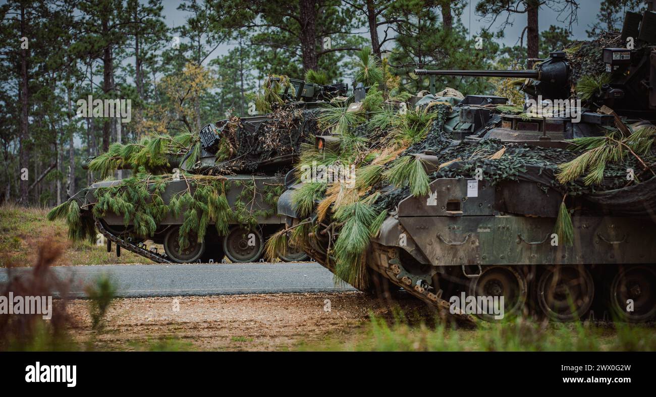 Une unité d'infanterie blindée et blindée légère affectée au 3e bataillon, 69e régiment d'armures, 1re brigade blindée, 3e division d'infanterie, patrouille une route pendant leur entraînement au joint Readiness Training Center (JRTC) à Fort Johnson, Louisiane, le 16 mars 2024. Les unités d'infanterie se sont entraînées ensemble au JRTC pour accroître leur cohésion et leur létalité sur le terrain. (Photo de l'armée américaine par le PFC Luciano Alcala) Banque D'Images