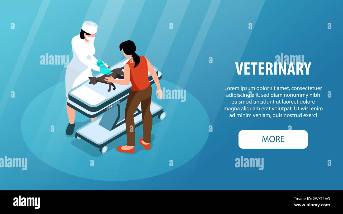 Bannière de site Web horizontale isométrique de clinique vétérinaire avec l'injection vétérinaire à l'illustration vectorielle de chat Illustration de Vecteur