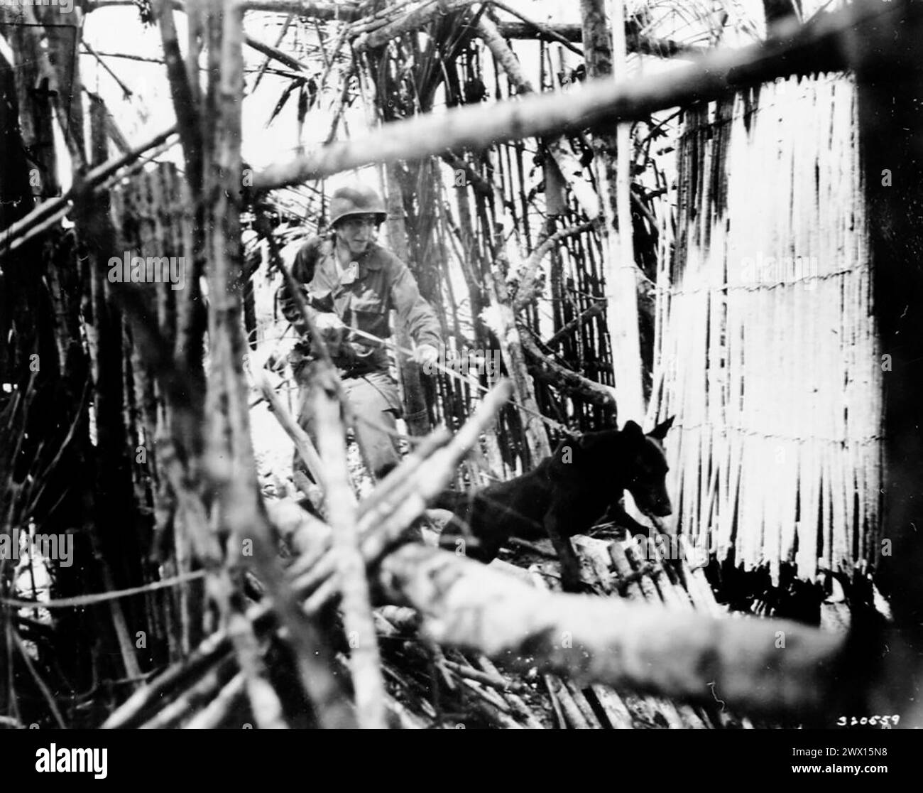 Photos de la seconde Guerre mondiale : un soldat avec un chien scout en laisse CA. 1944 Banque D'Images