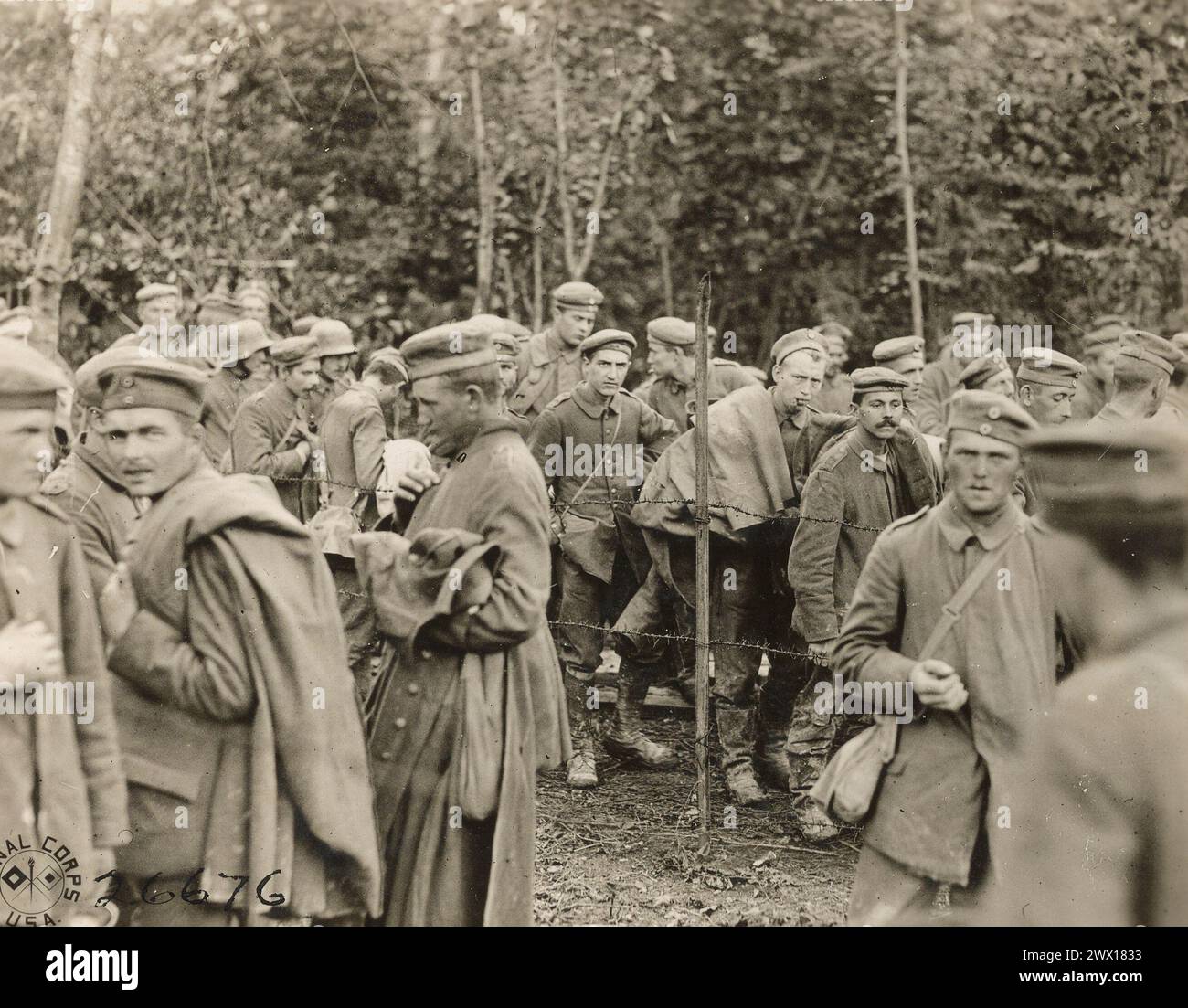 Un groupe de prisonniers de guerre allemands capturés par la 125e infanterie le 9 octobre 1918. Environ 1000 ont été capturés ce jour-là. Lieu : bois d'Argonne près de Montfaucon, Meuse, France. Banque D'Images