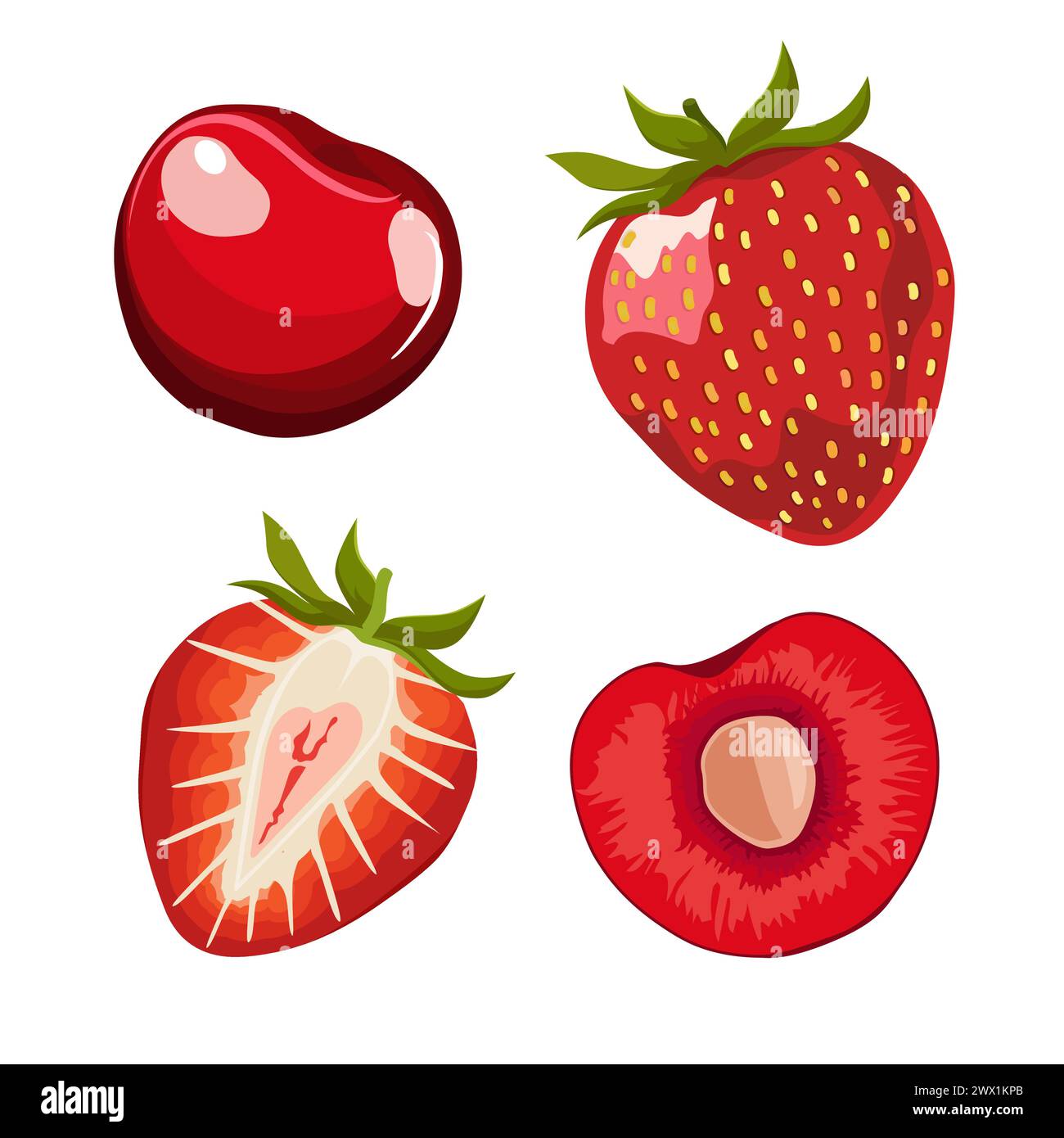 Ensemble de cerise rouge juteuse et saine et de fraise isolé sur fond blanc. Vecteur moitié de baies illustration dans le style plat. Clipart d'été pour Illustration de Vecteur