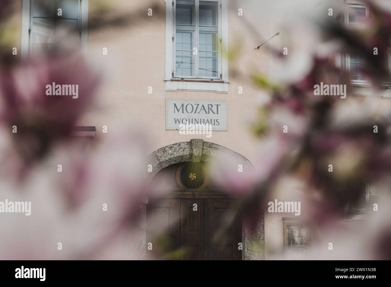 Mozart Wohnhaus in Salzburg am Makartplatz zur Magnolienblüte im Frühling am 25.03.2024. // résidence de Mozart à Salzbourg sur Makartplatz lors de la floraison du magnolia au printemps 25 mars 2024. - 20240326_PD1752 crédit : APA-defacto Datenbank und Contentmanagement GmbH/Alamy Live News Banque D'Images