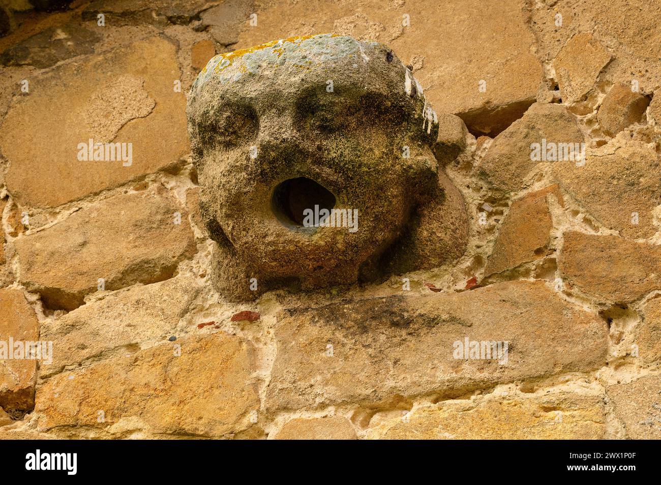 Une gargouille en pierre bien altérée sur le mur extérieur de l'église St Andrews, petit ronflement, North Norfolk, Royaume-Uni. Banque D'Images