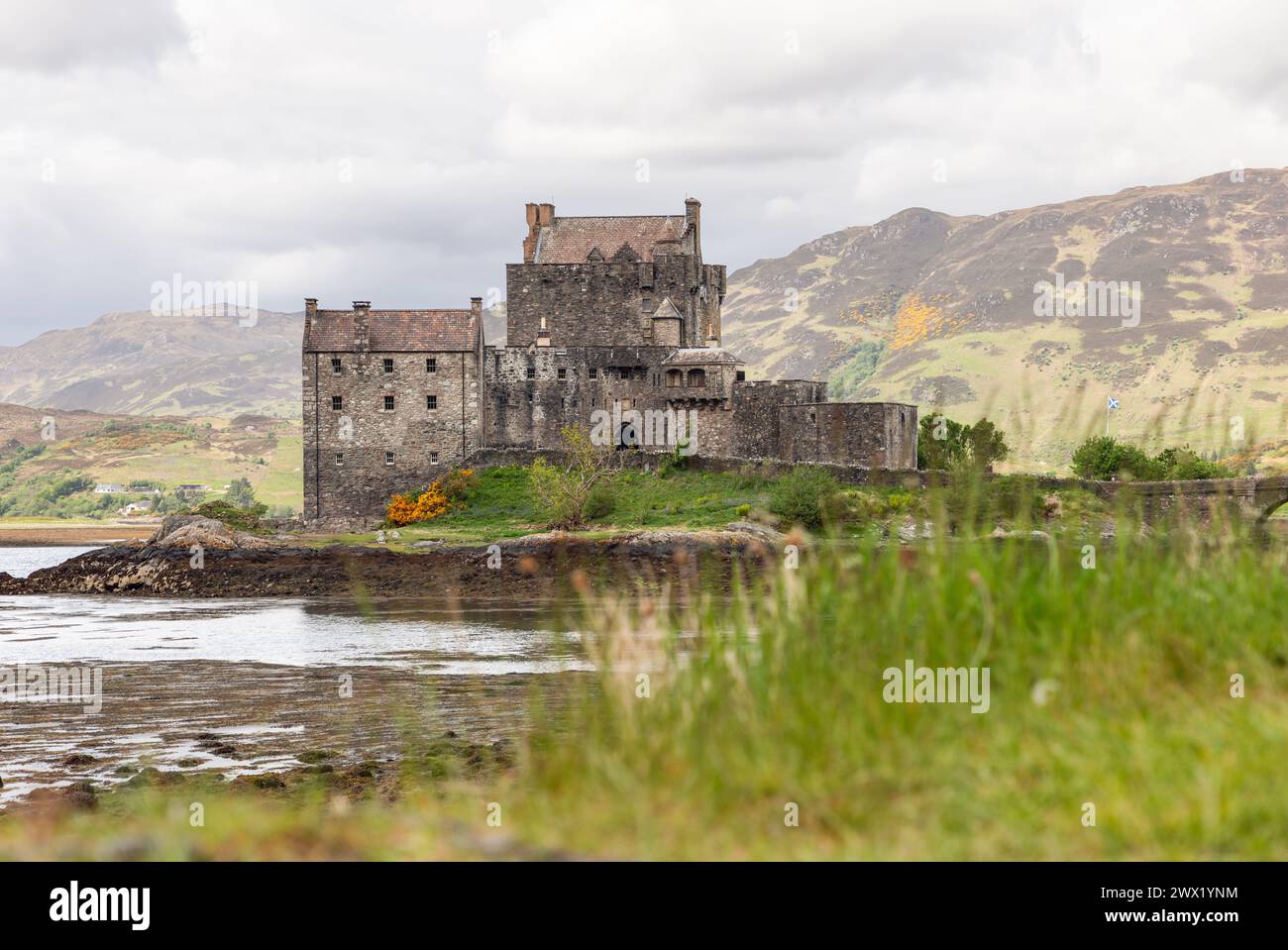 Le château d'Eilean Donan, bastion du patrimoine écossais, s'élève contre une tapisserie de terrain montagneux, avec un premier plan d'herbes luxuriantes Banque D'Images