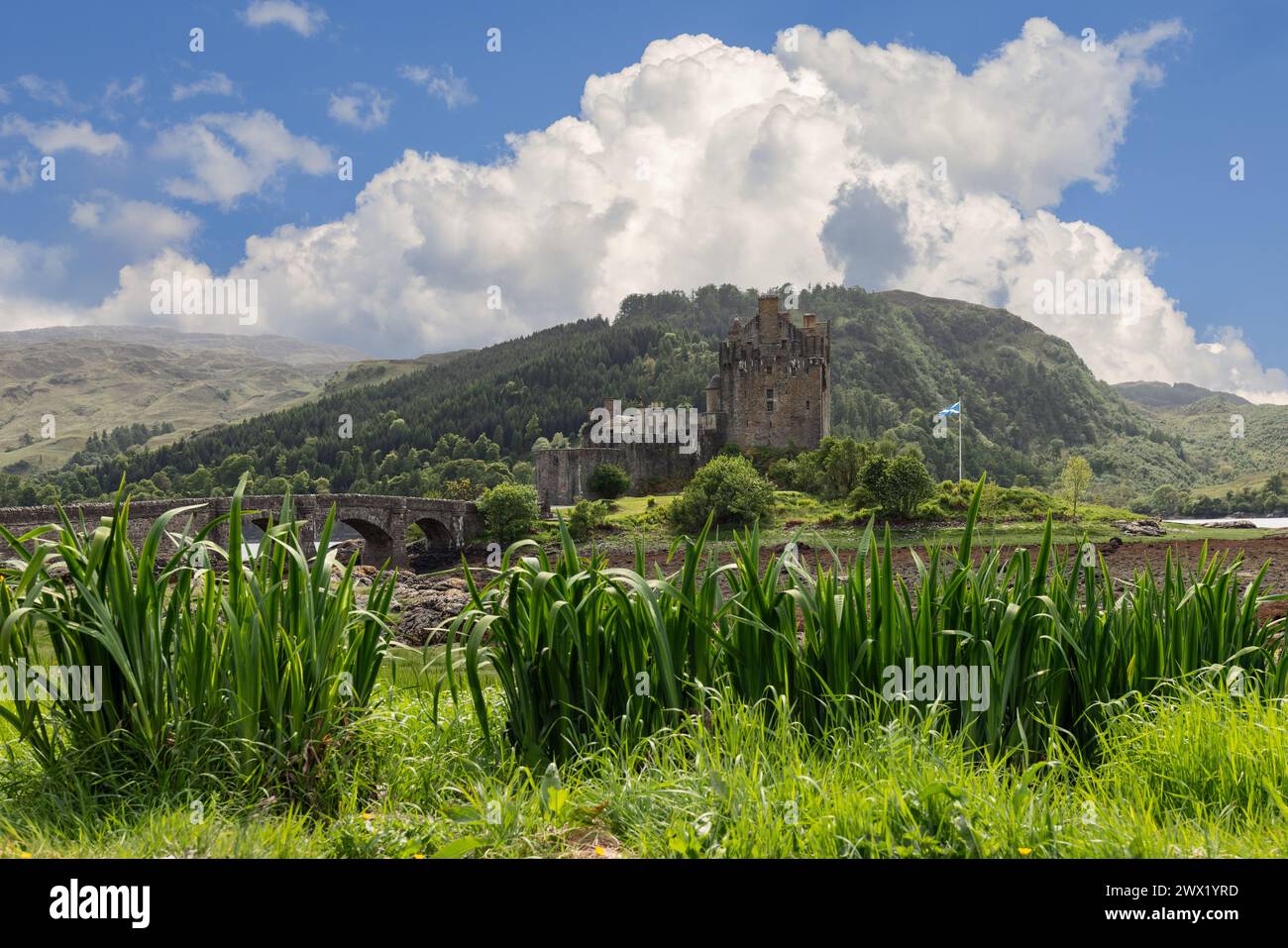 Entouré d'une herbe verte vibrante, le château d'Eilean Donan respire la grandeur historique à côté d'un pont de pierre, avec le drapeau écossais flottant Banque D'Images