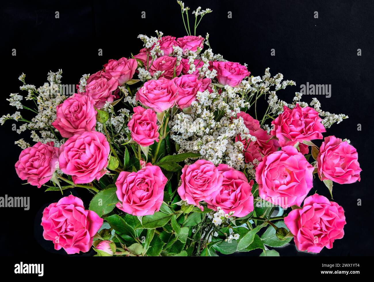 Bouquet lumineux de roses rose foncé et fleurs blanches statice ou Limonium sinuatum en gros plan sur fond noir isolé. Belle florale élégante des Banque D'Images