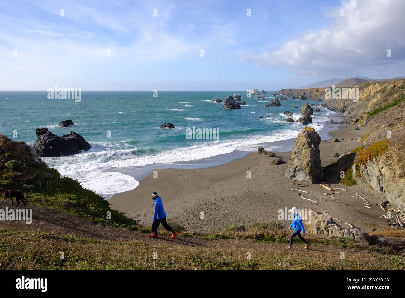 Marcher le long de l'océan Pacifique en Californie, États-Unis. Banque D'Images