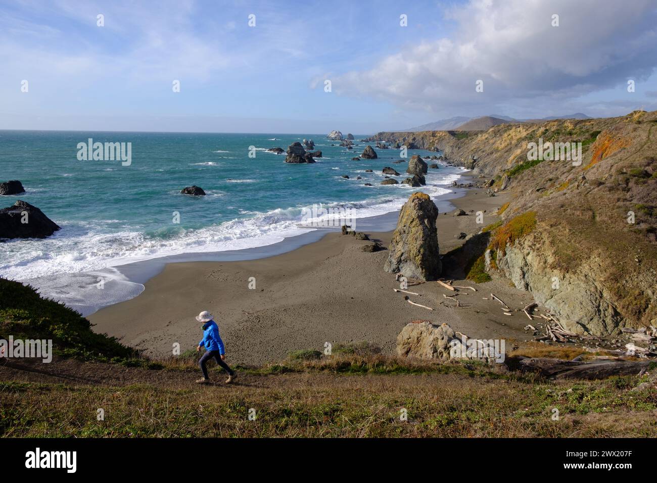 Marcher le long de l'océan Pacifique en Californie, États-Unis. Banque D'Images