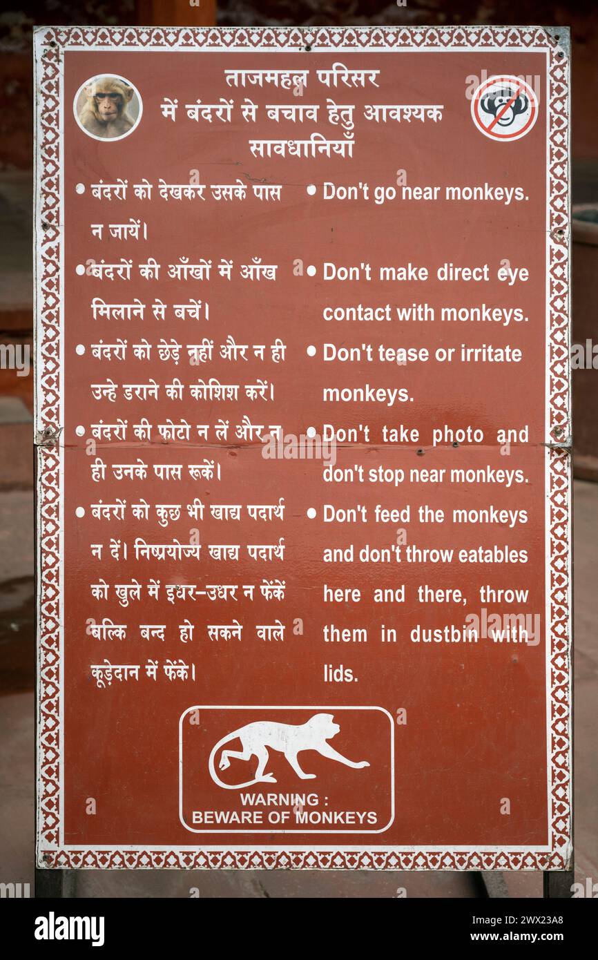 Indien, Agra, Taj Mahal Komplex, Warnung vor Affen Banque D'Images