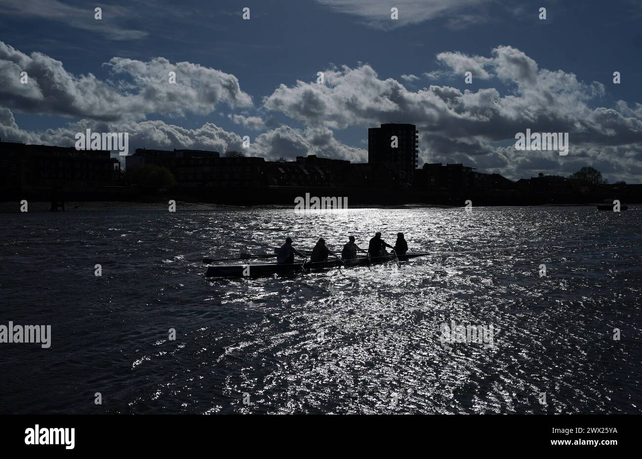 Un bateau à rames sur la Tamise Putney, Londres. Date de la photo : mercredi 27 mars 2024. Banque D'Images