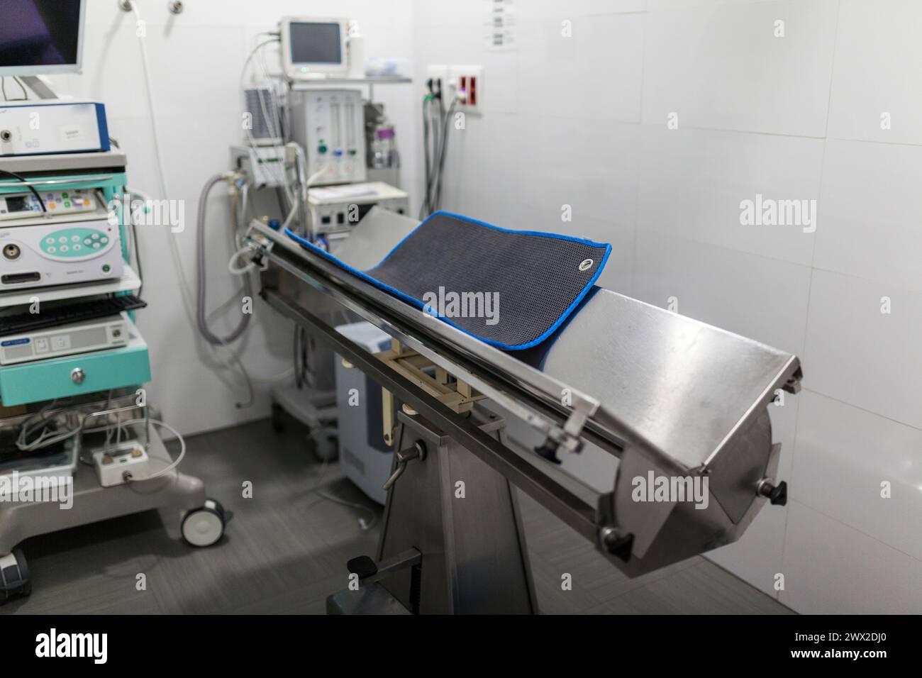 Vue intérieure de la salle d'opération de la clinique vétérinaire Banque D'Images