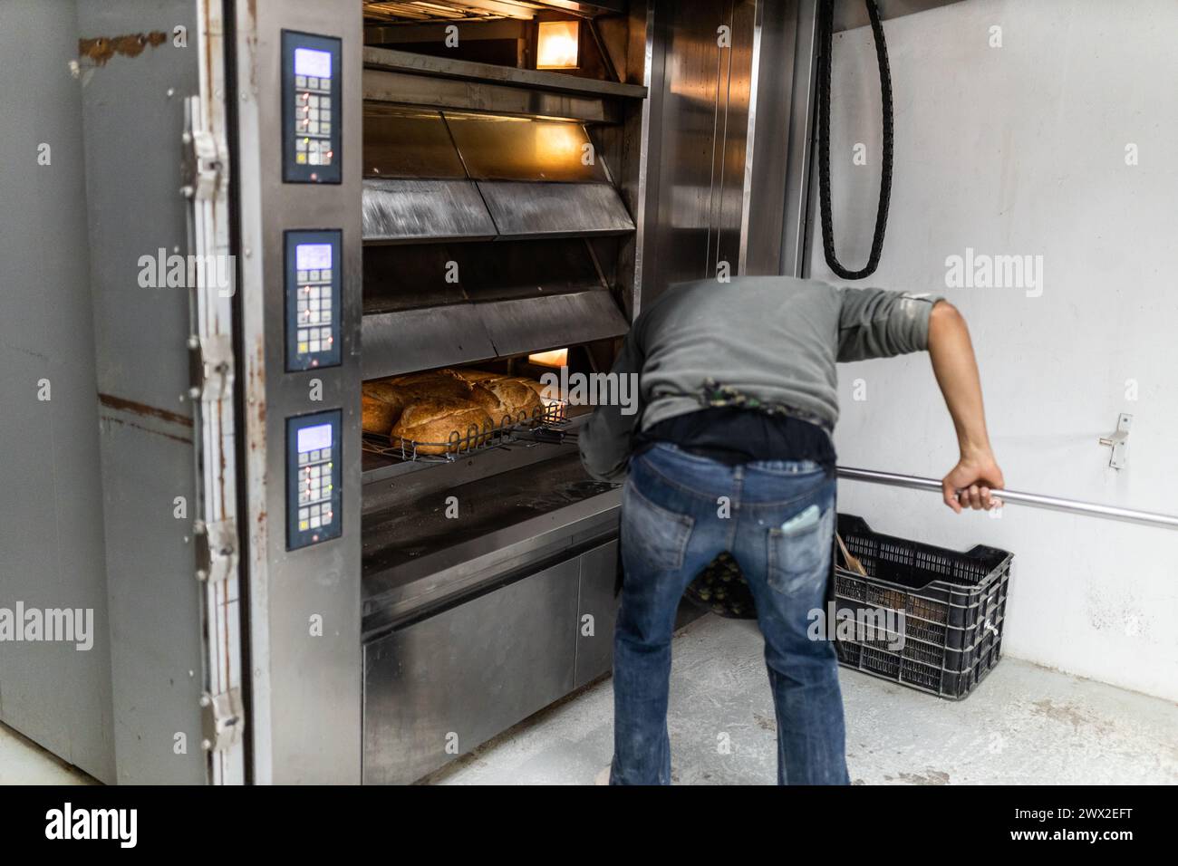 jeune maître boulanger latino qui sort les pains du four et les met à refroidir Banque D'Images