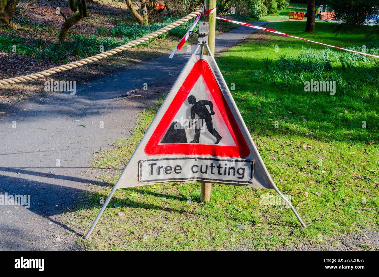 Panneau de coupe d'arbre bloquant un chemin dans un parc rural dans le comté de Down pour la sécurité publique. Banque D'Images