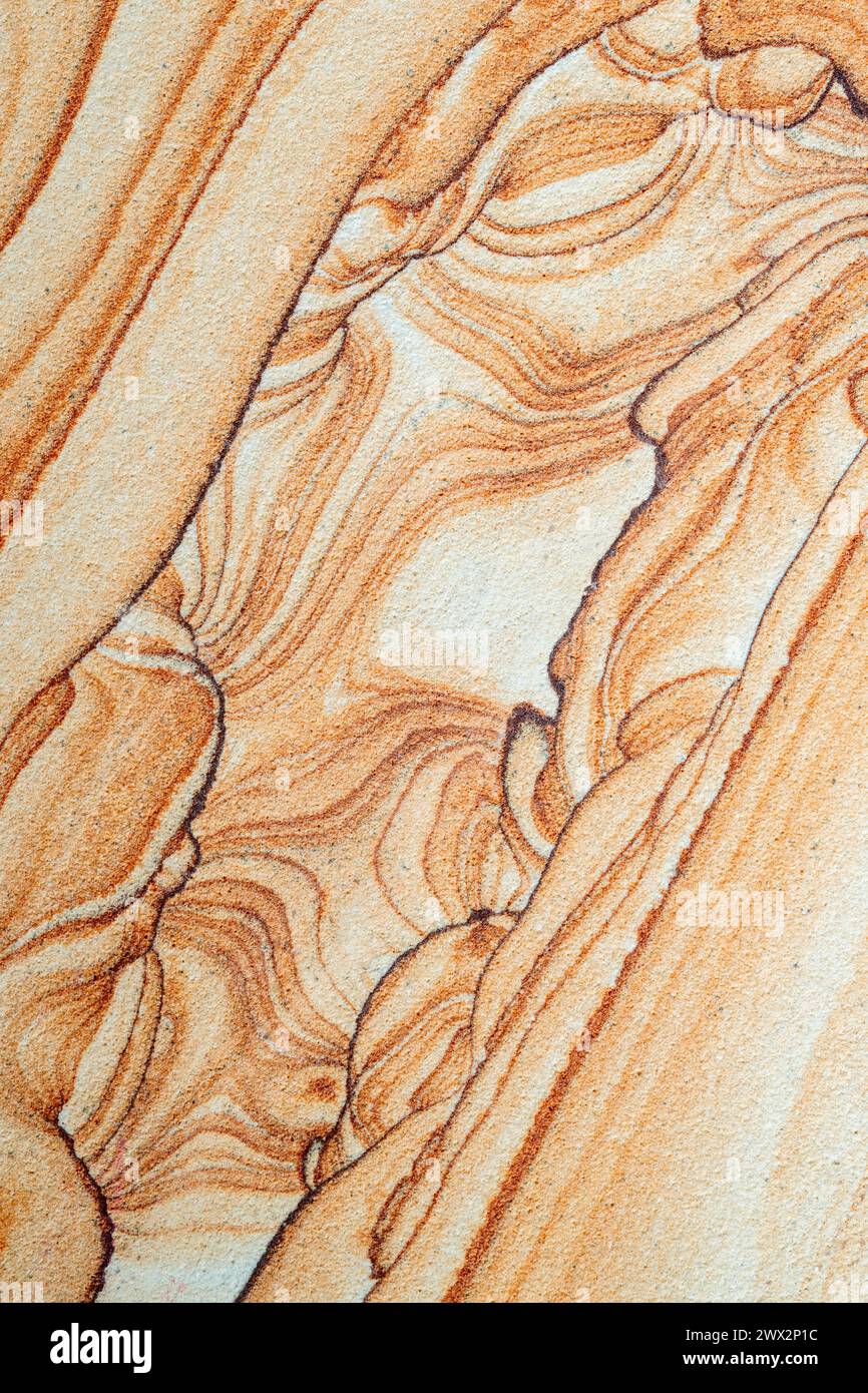 Vue rapprochée sur le grès de l'Arizona. Jerome, Arizona, USA, par Dominique Braud/Dembinsky photo Assoc Banque D'Images