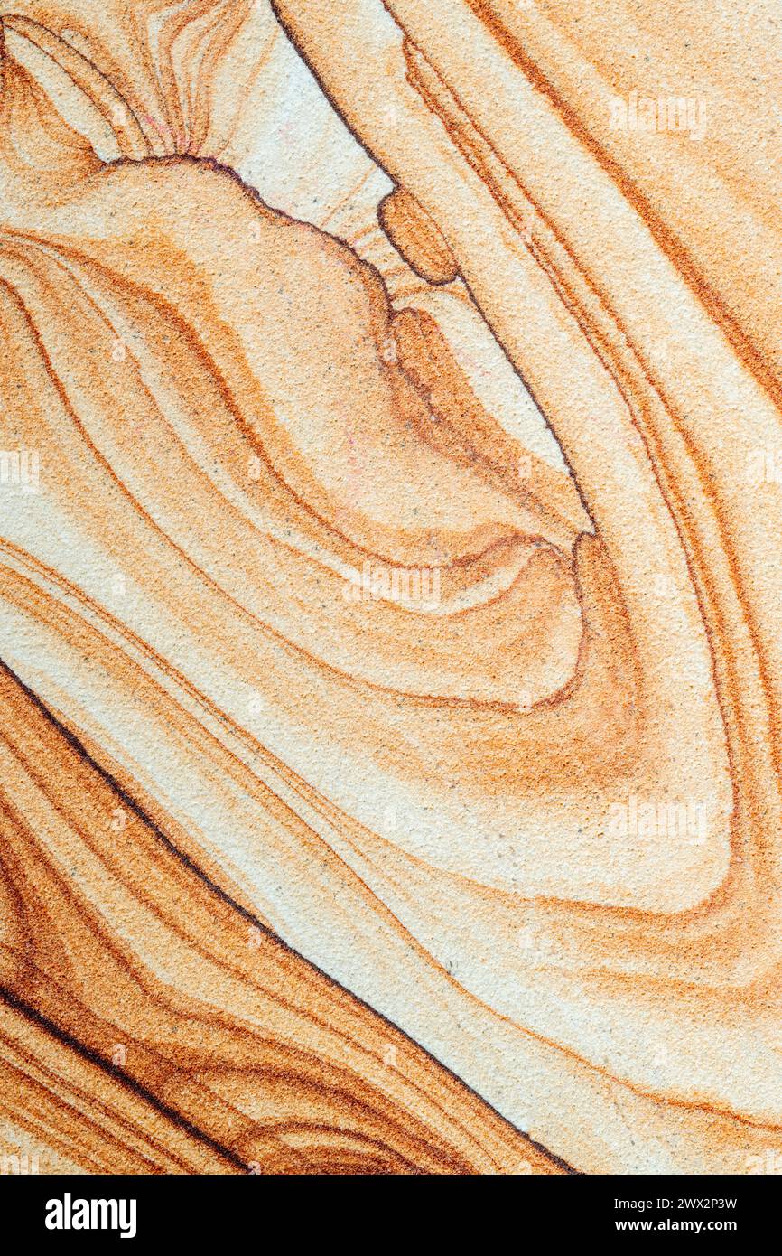 Vue rapprochée sur le grès de l'Arizona. Jerome, Arizona, USA, par Dominique Braud/Dembinsky photo Assoc Banque D'Images
