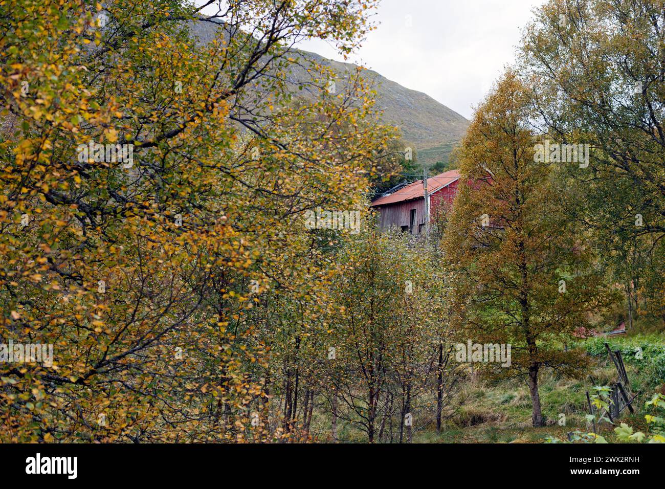 Fjelle, Ulstein, Norvège Banque D'Images