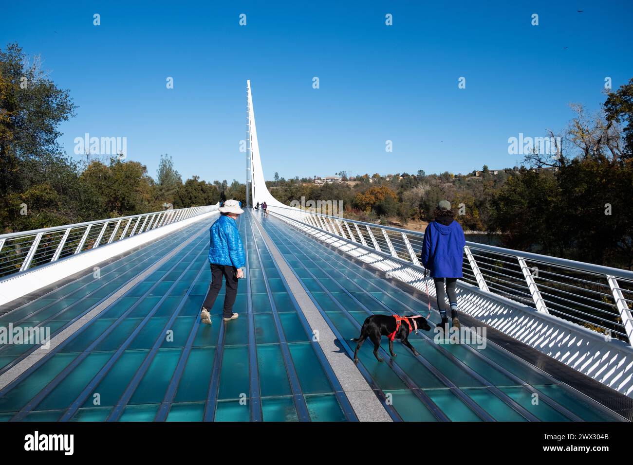 Le Sundial Bridge à Turtle Bay est un pont piétonnier de renommée mondiale et une installation d'art public qui traverse la rivière Sacramento à Redding et Conn Banque D'Images