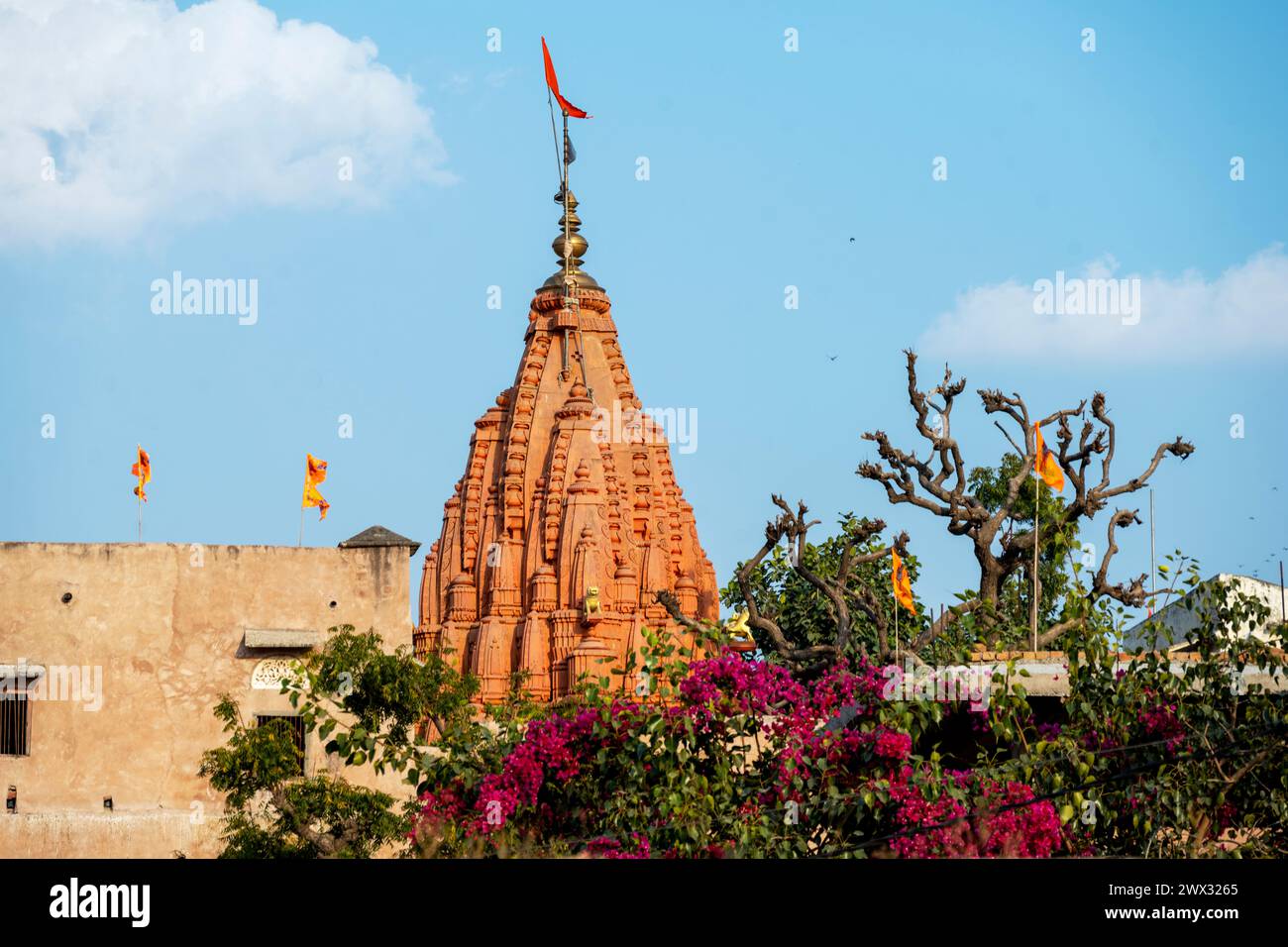Indien, Rajasthan, Pushkar, Tempel Banque D'Images